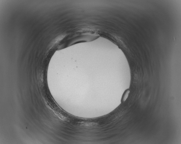 X0000080660539200701121609