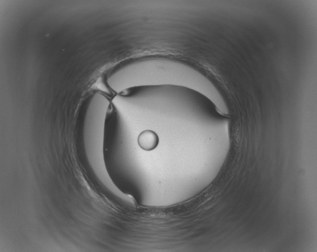 X0000080660540200701121609