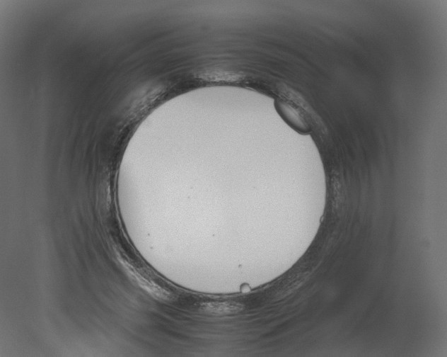 X0000080660541200701121609