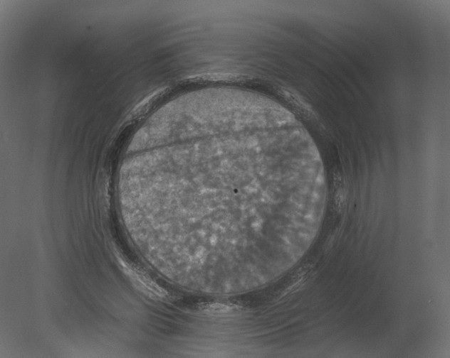 X0000080660542200701121609