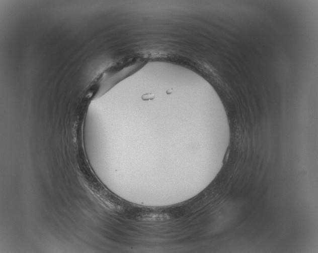 X0000080660543200701121609