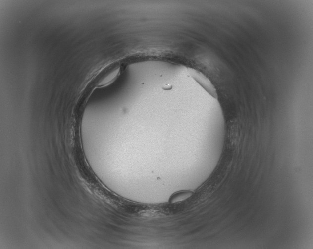 X0000080660544200701121609