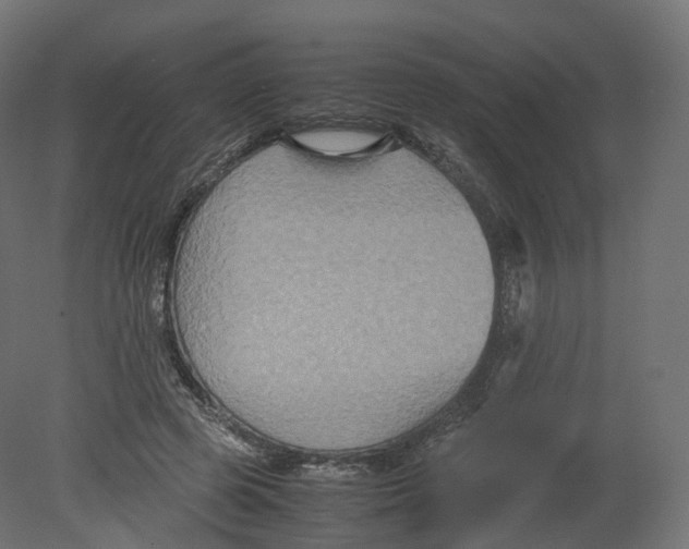 X0000080660545200701121609