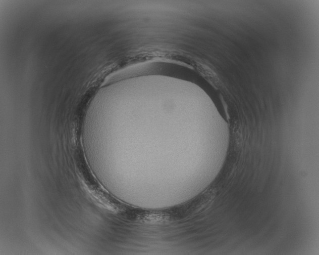 X0000080660546200701121609