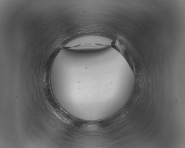 X0000080660548200701121609