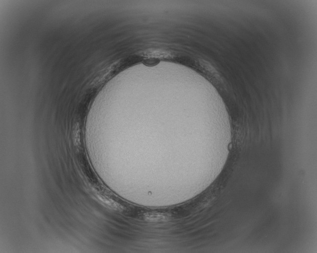 X0000080660549200701121609