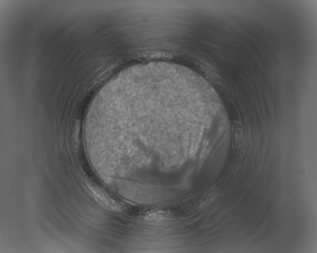 X0000080660550200701121609