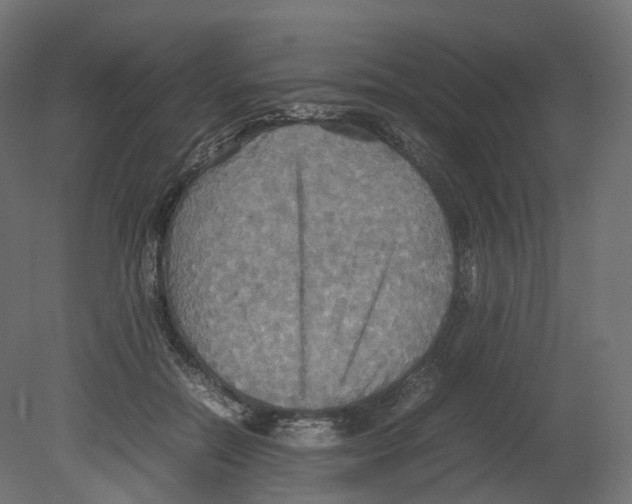 X0000080660554200701121609