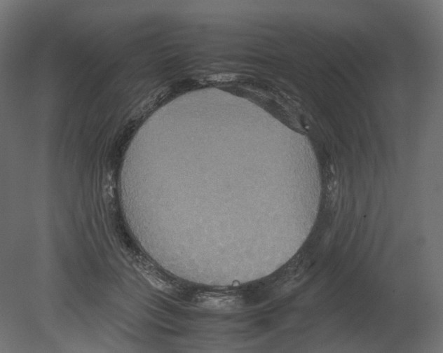 X0000080660555200701121609