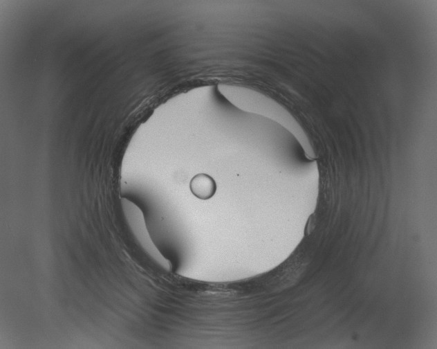 X0000080660556200701121609