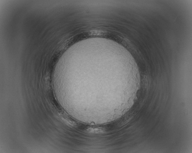 X0000080660557200701121609