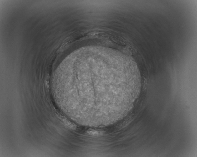 X0000080660561200701121609