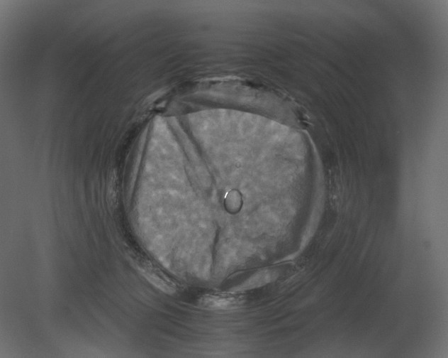 X0000080660563200701121609