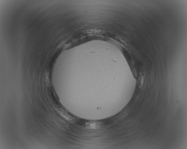 X0000080660564200701121609