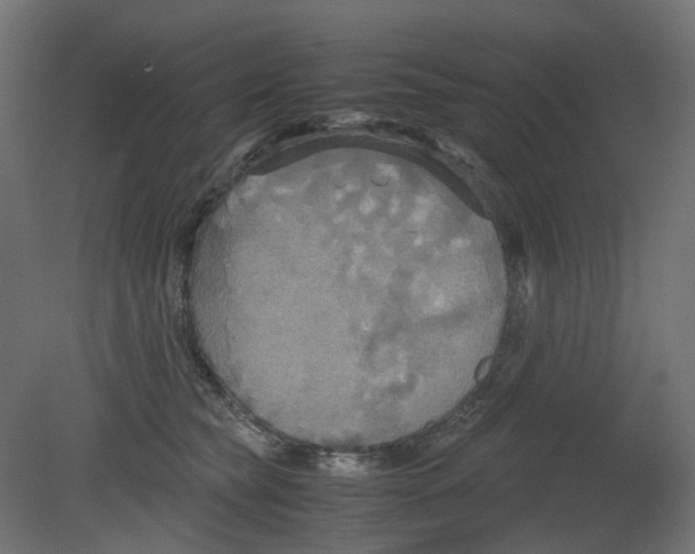 X0000080660565200701121609