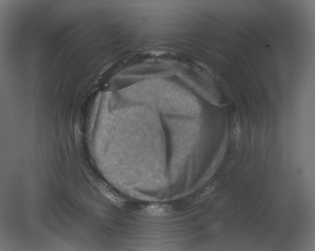 X0000080660566200701121609