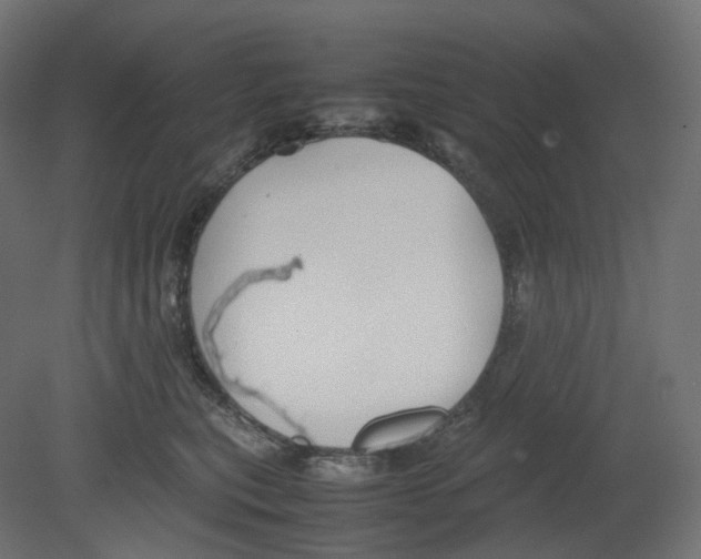 X0000080660567200701121609