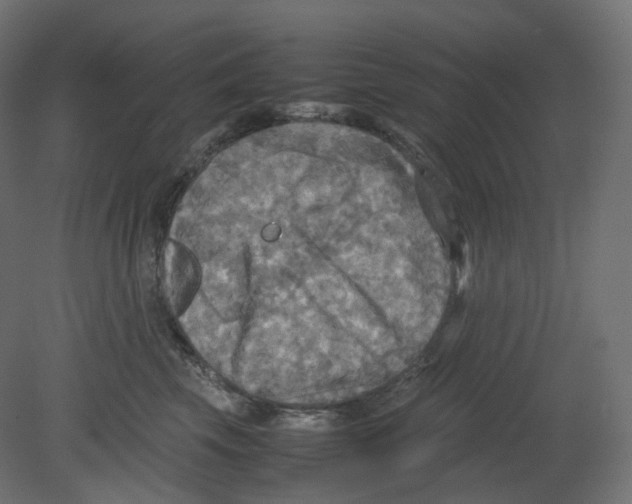 X0000080660569200701121609