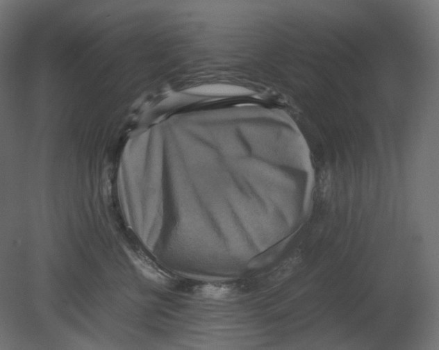 X0000080660570200701121609