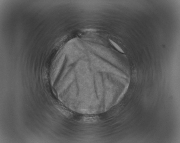 X0000080660571200701121609