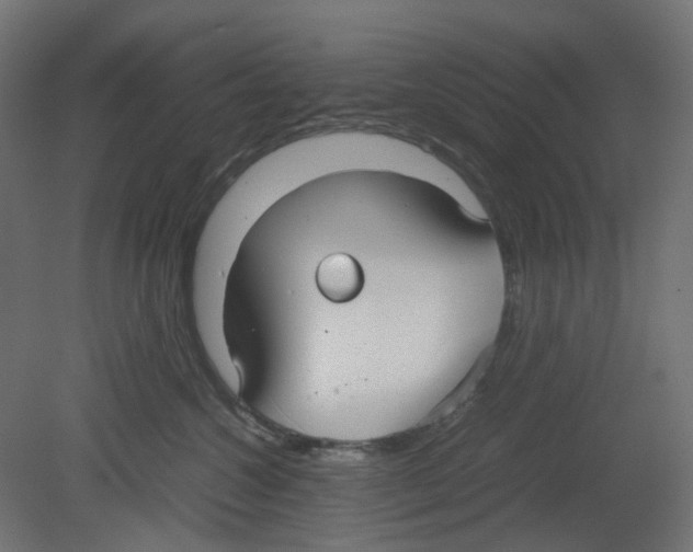 X0000080660572200701121609