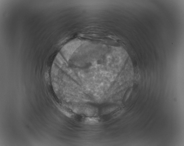 X0000080660573200701121609