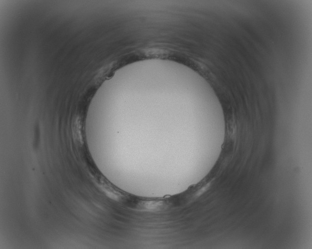 X0000080660575200701121609