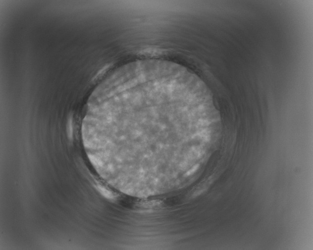 X0000080660576200701121609