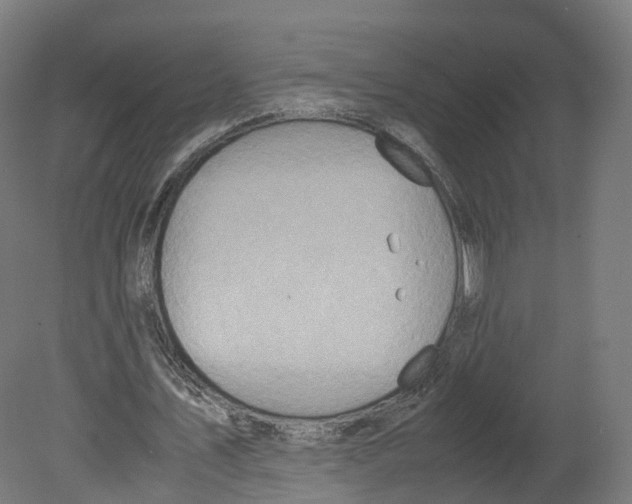 X0000080660579200701121609