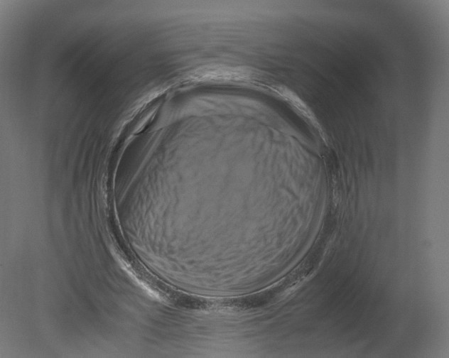 X0000080660581200701121609