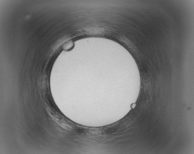 X0000080660583200701121609