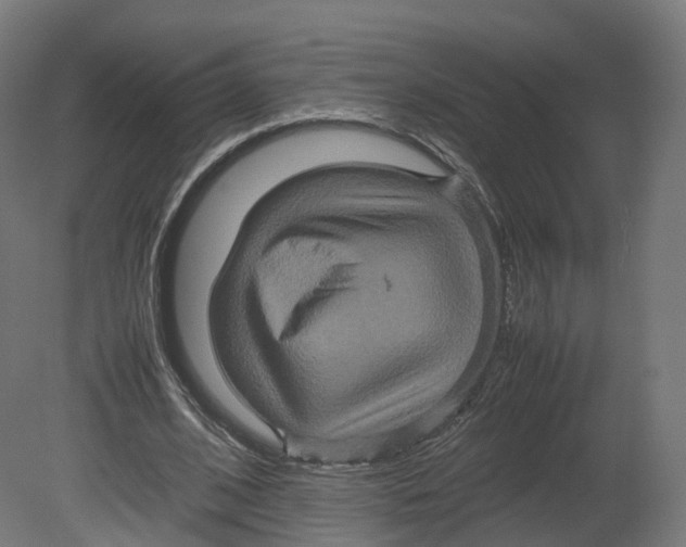 X0000080660584200701121609