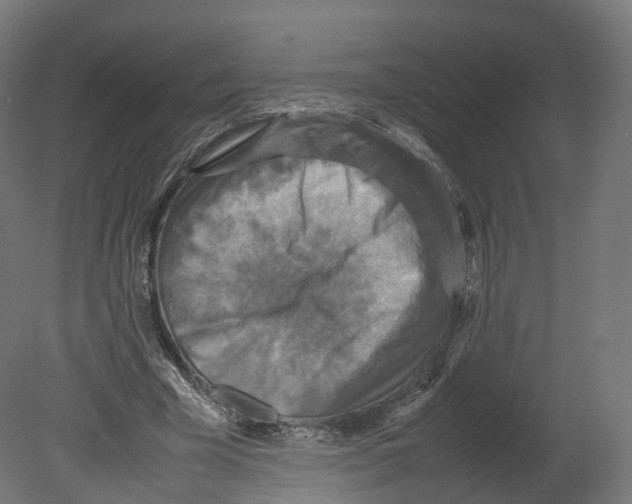 X0000080660585200701121609