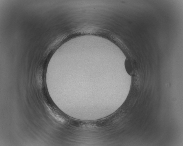 X0000080660586200701121608