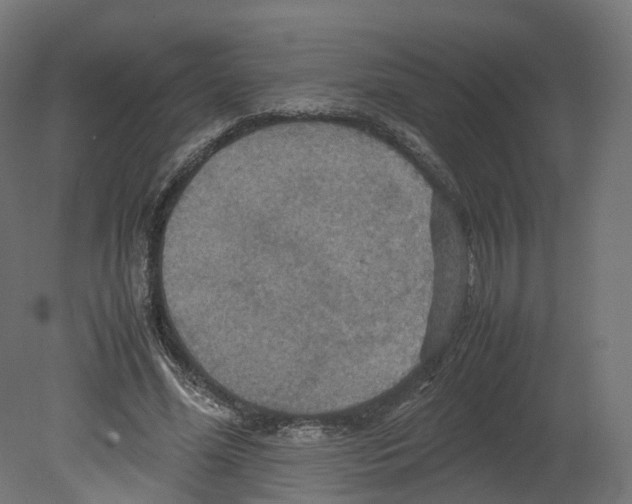 X0000080660588200701121608