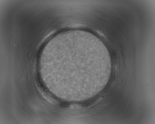 X0000080660591200701121608