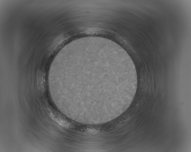 X0000080660592200701121608