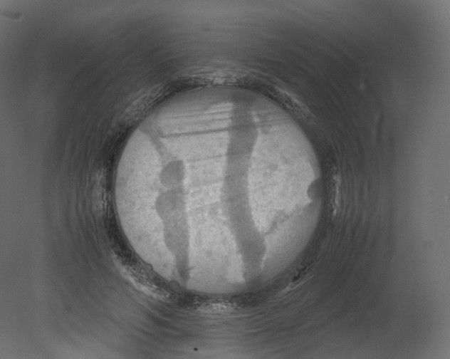 X0000080660594200701121608