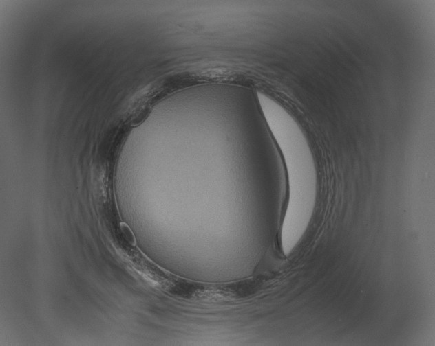 X0000080660597200701121608