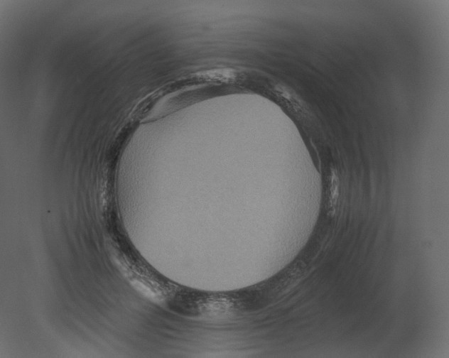 X0000080660600200701121608