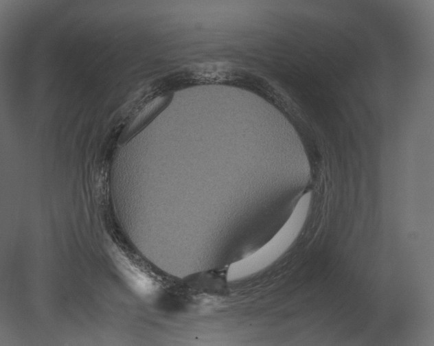 X0000080660601200701121608