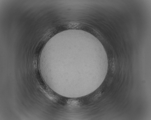 X0000080660602200701121608