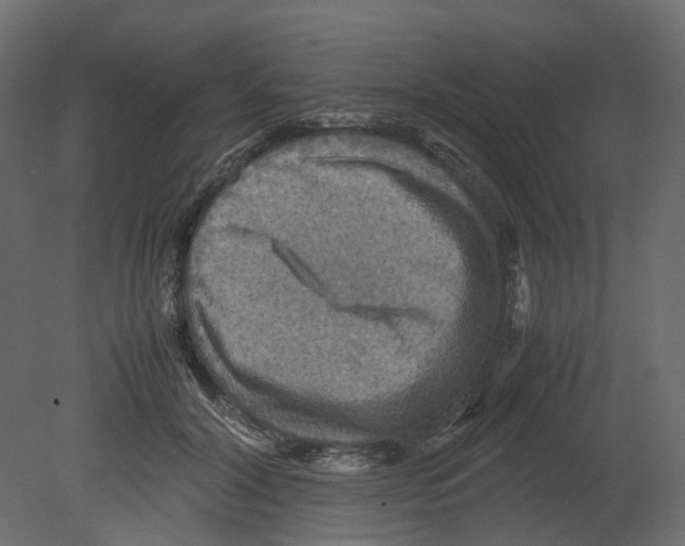 X0000080660604200701121608