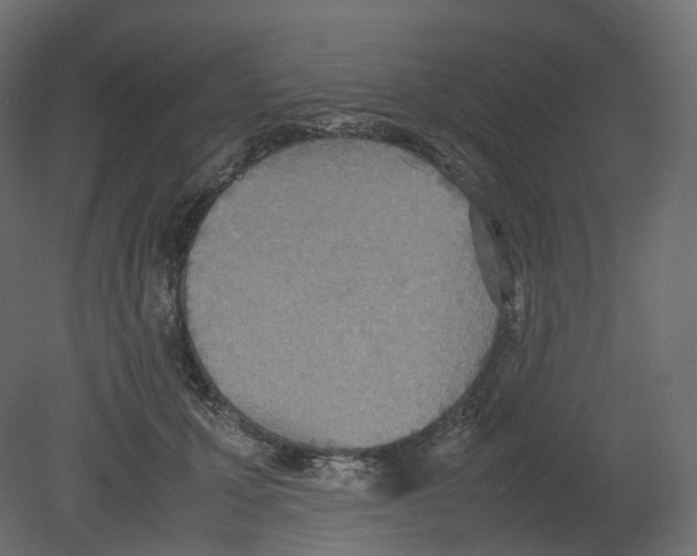 X0000080660607200701121608