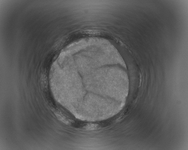 X0000080660609200701121608