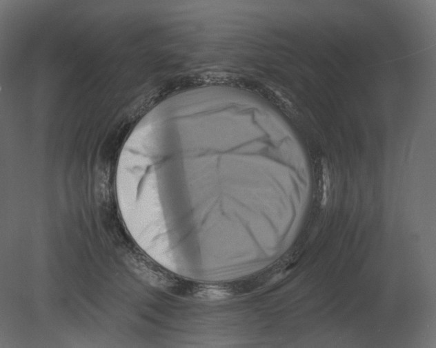 X0000080660610200701121608