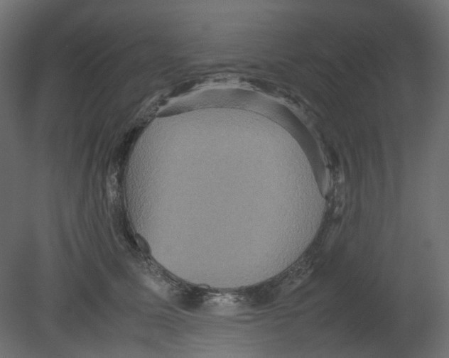 X0000080660611200701121608