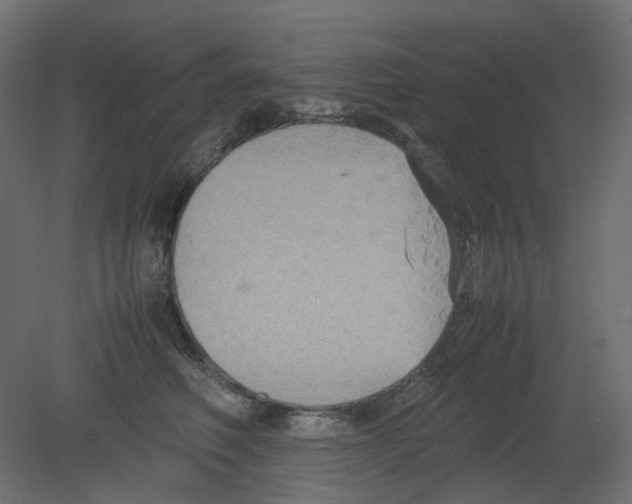 X0000080660614200701121608