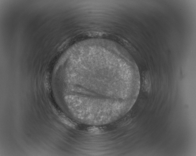 X0000080660616200701121608