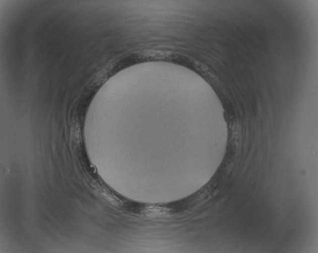 X0000080660617200701121608